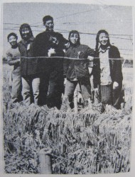 Standing on Grain Propaganda 1959